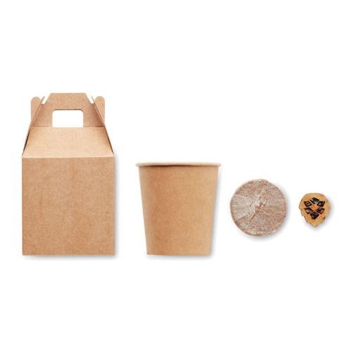 Grantræssæt - Bild 2